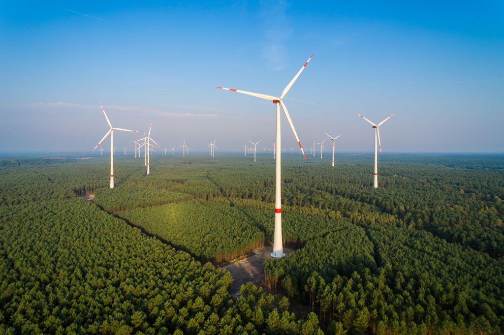 Cambio climático, mitigación y transición energética, oportunidades para la Argentina