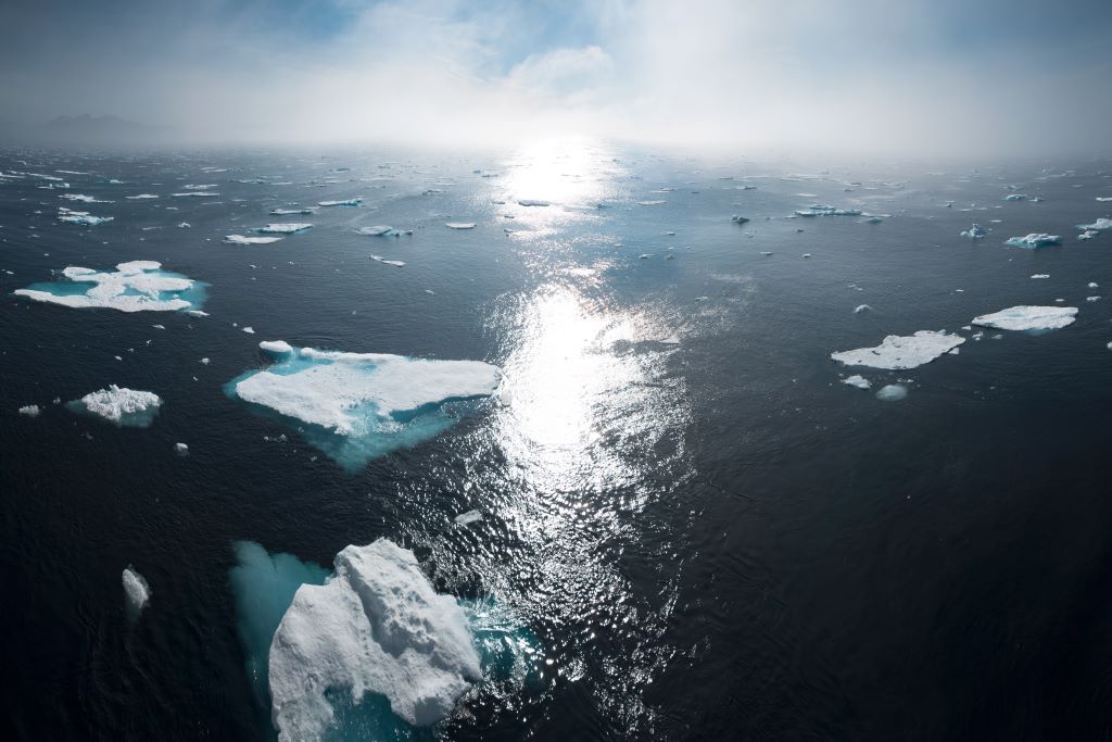 Cambio climático y comercio. Por Elisabeth Mohle